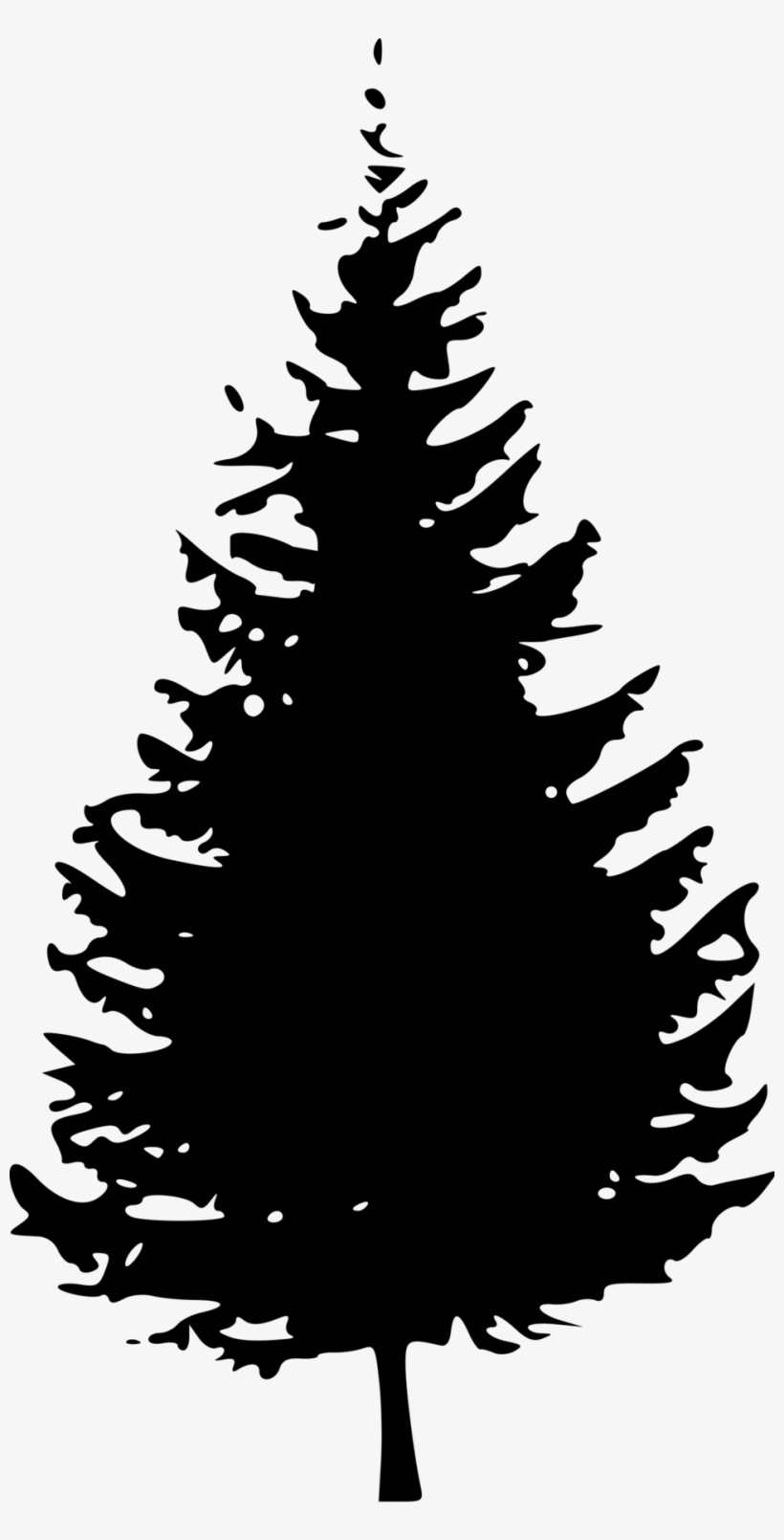 Transparent Trees Douglas Fir Evergreen Tree Silhouette Png Transparent Png 958x1835 Free Download On Nicepng