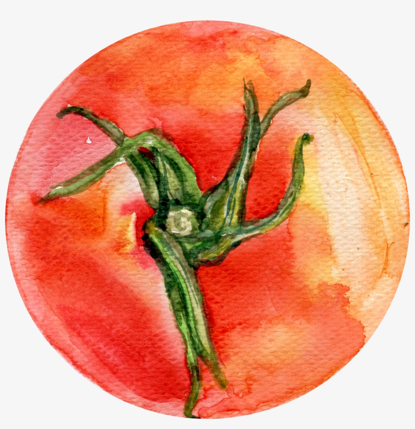 Bush Tomato Watercolor Painting Vegetable Illustration, transparent png download