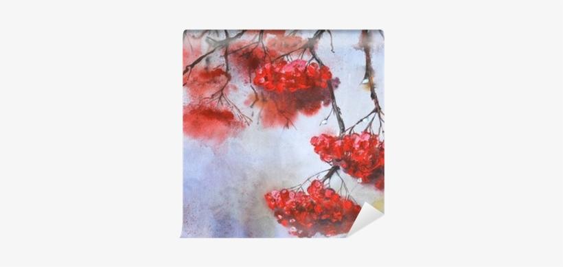 Branch Of Rowan In Rainy Weather - Illustration, transparent png download