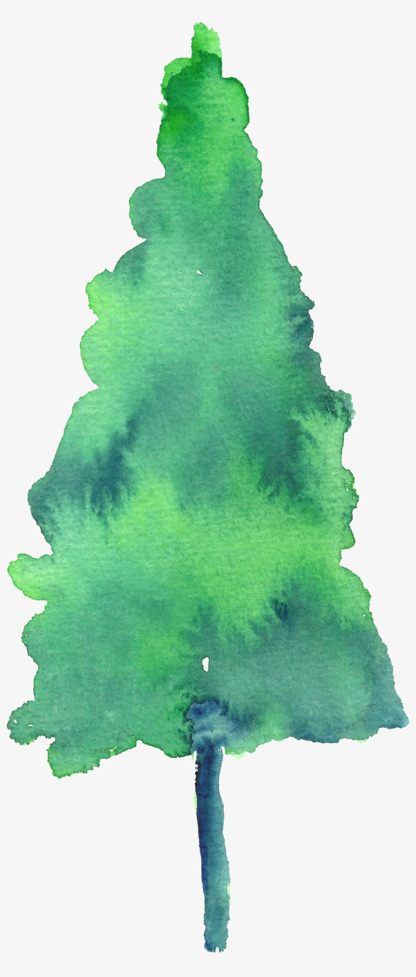 Painted Watercolor Pine Tree Decoration Vector - Watercolor Painting, transparent png download
