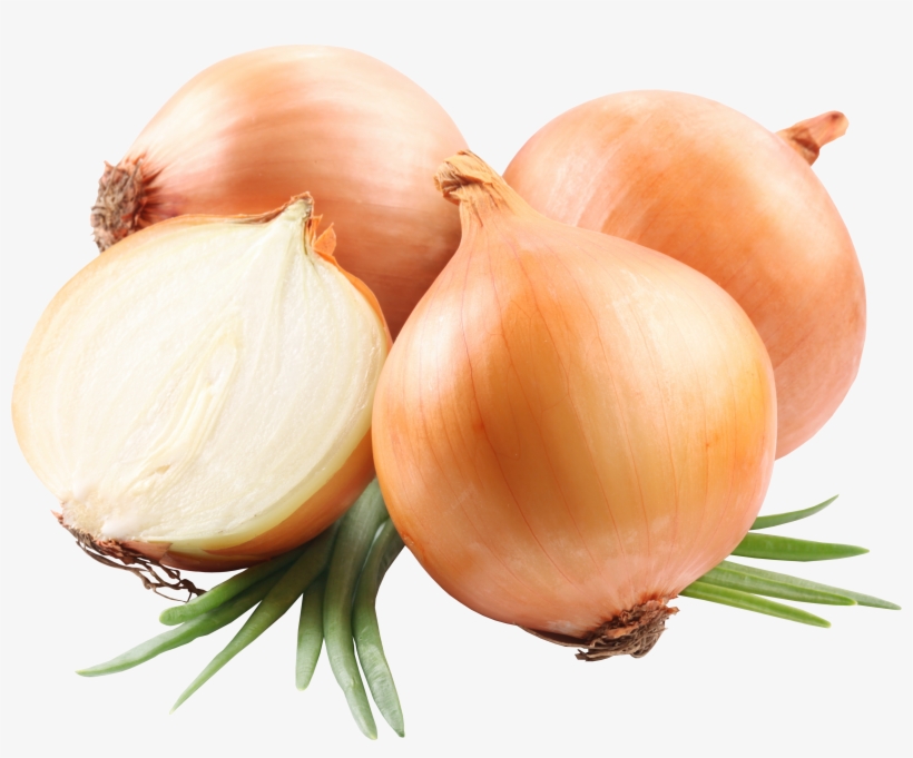 Onion Png Image - Onion Png, transparent png download
