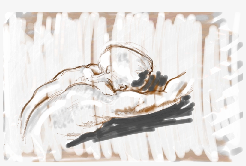 Share This - - Wood, transparent png download