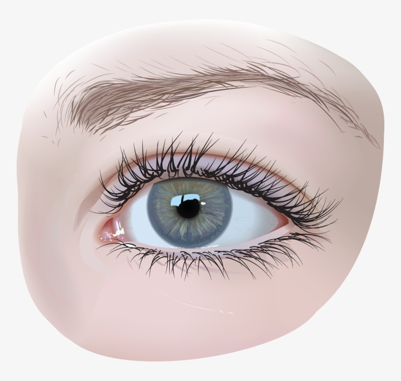 Eyes Png, transparent png download