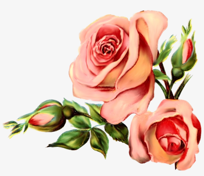 Wordpress Logo Clipart Rose - Vintage Flower Graphic Png, transparent png download