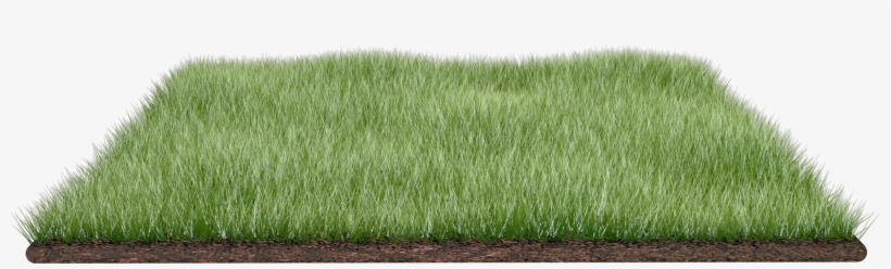Grass Field Png Download Number - Grass Field Png, transparent png download