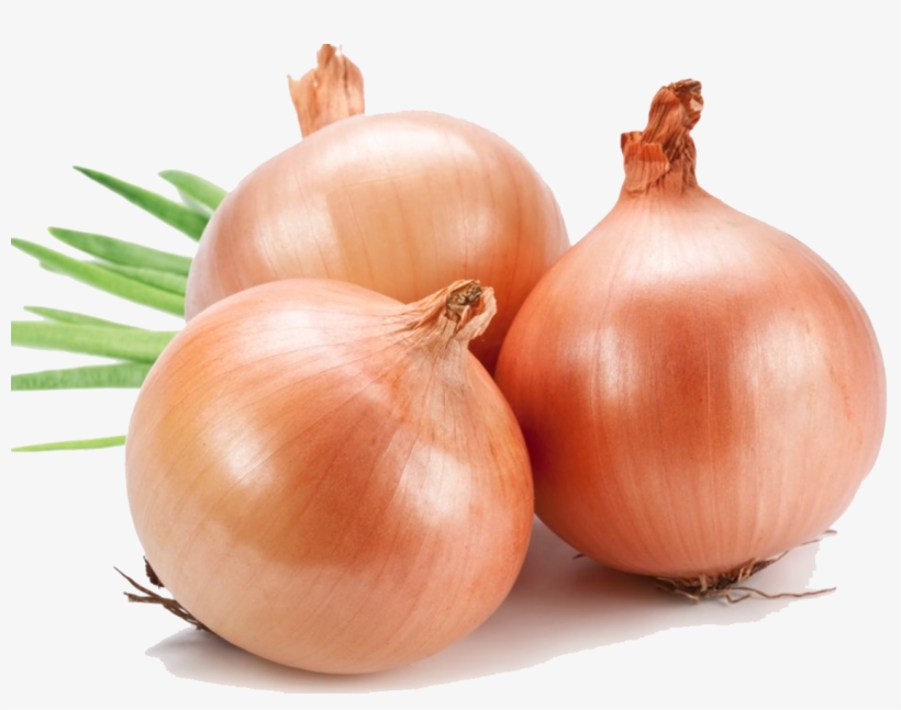 Onion Png File - Onions Images Png, transparent png download