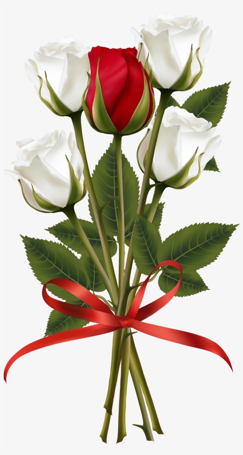 Flower Frame, Flower Art, White Roses, Red Roses, Red - Red And White Rose Clipart, transparent png download