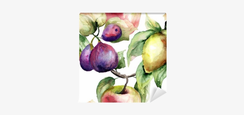 Watercolor Illustration Of Fruits Wall Mural • Pixers® - Watercolor Painting, transparent png download