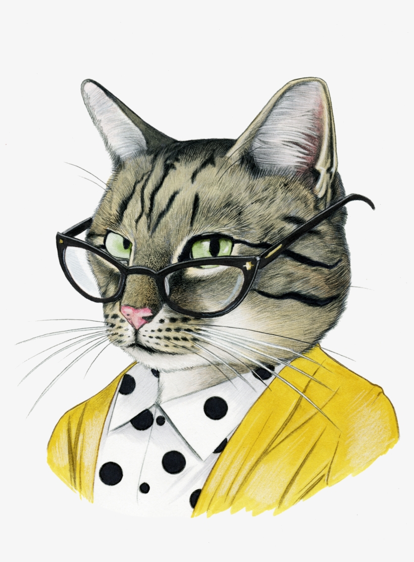 Pet Portraits With Clothes, transparent png download