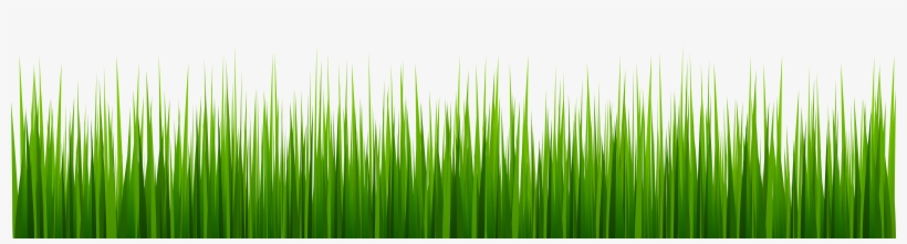 Clipart Freeuse Stock Clip Art Best Web - Grass Clipart Border, transparent png download