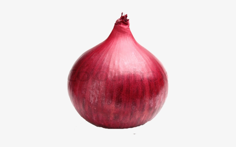 Red Onion Png File - Red Onion Png, transparent png download