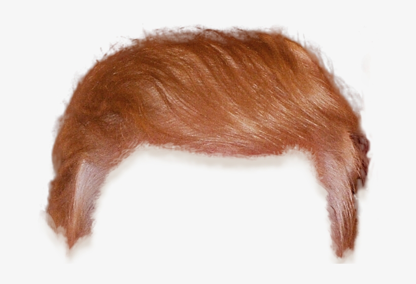 Trump Hair Cutout, transparent png download