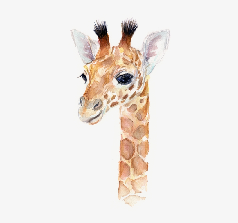 baby animal watercolor prints