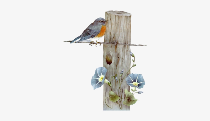 Great Idea With Fence Posts - Sherry C Nelson, transparent png download