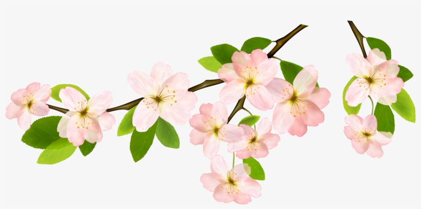 Spring Png, transparent png download