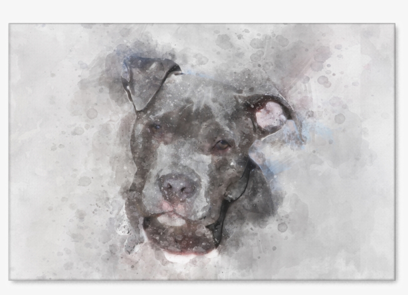 American Pitbull Watercolor On Canvas - American Pit Bull Terrier, transparent png download