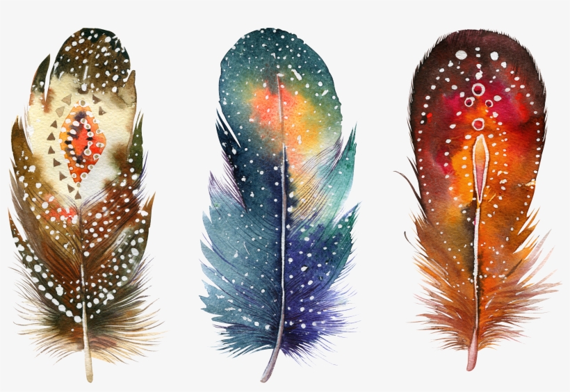 Watercolor Painting Feather Drawing Poster, transparent png download