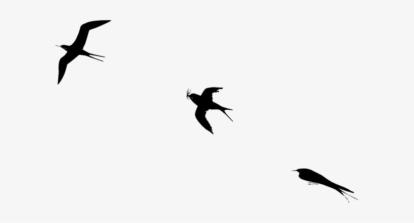 Bird Flight Clip Art At Clker - Bird, transparent png download