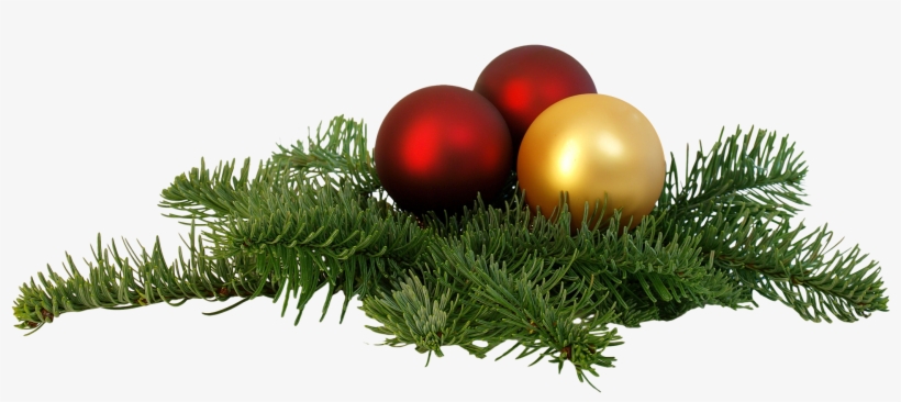 Christmas Png Transparent Image Royalty Free Stock - Christmas Tree Branch Png, transparent png download