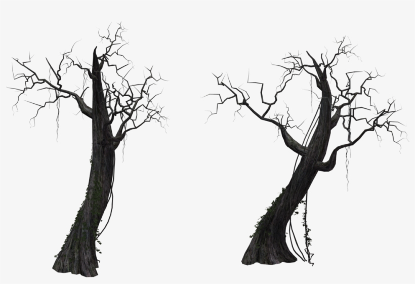 Dead Tree Png By Kooyooss-db9ky74 - Tree, transparent png download