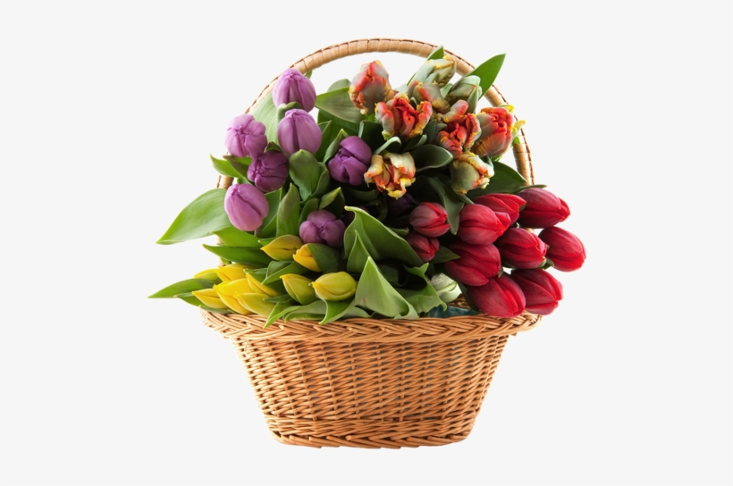 Transparent Basket With Tulips Png Clipart - Tedgem 8 Pack Wire Handles (handle-ease) For Mason,, transparent png download