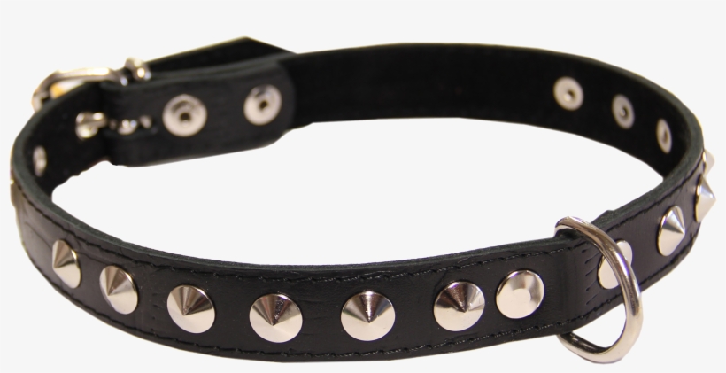 Dog Collar Png, transparent png download