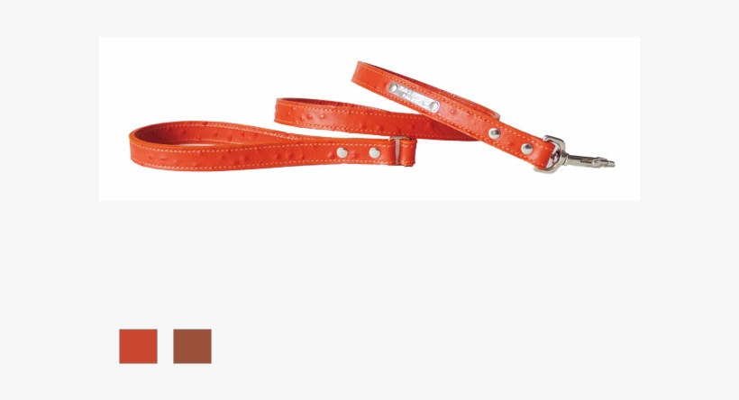 Ostrich Dog Leash - Leash, transparent png download