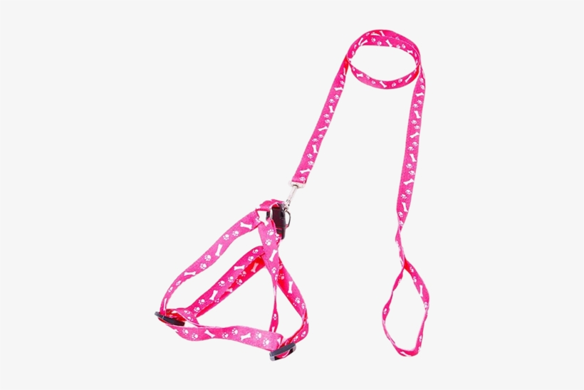 Leash, transparent png download