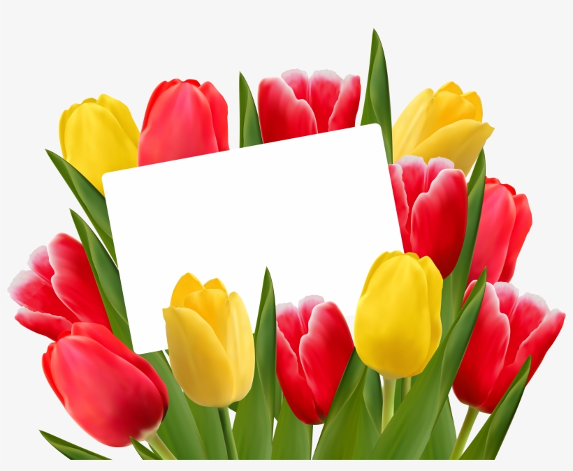 Care Good Morning Message, transparent png download