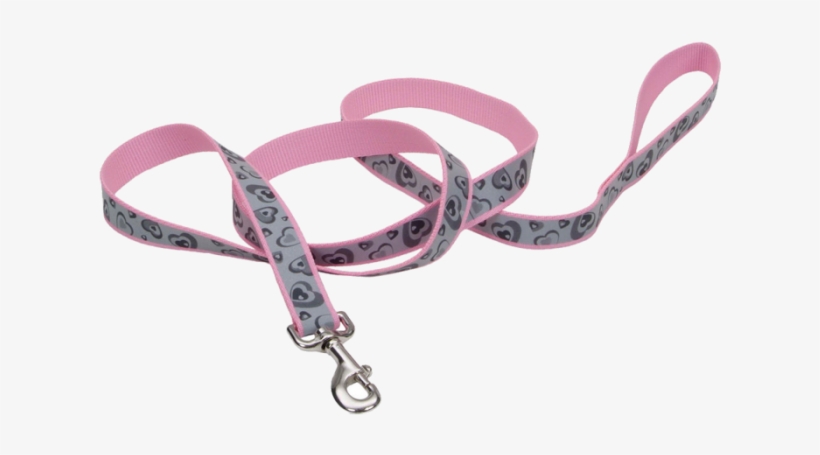 Lazer Brite Reflective Leash 1 X 4, transparent png download