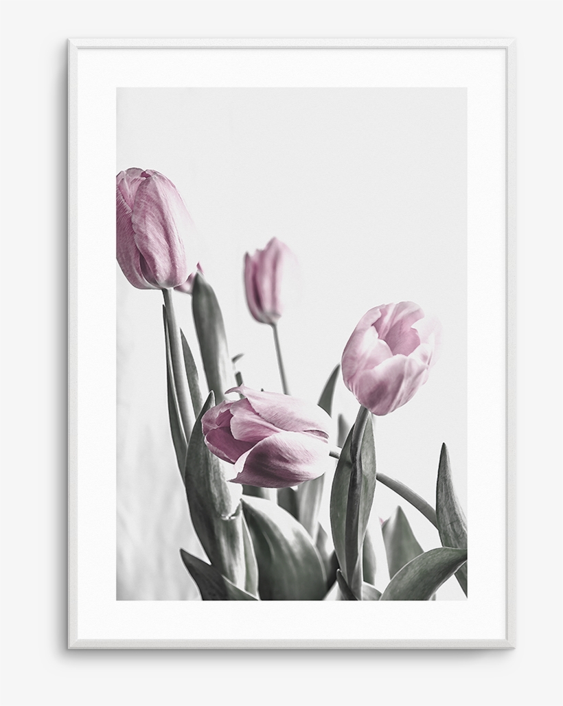 Pink Tulip Illustration No Iii - Tulip, transparent png download