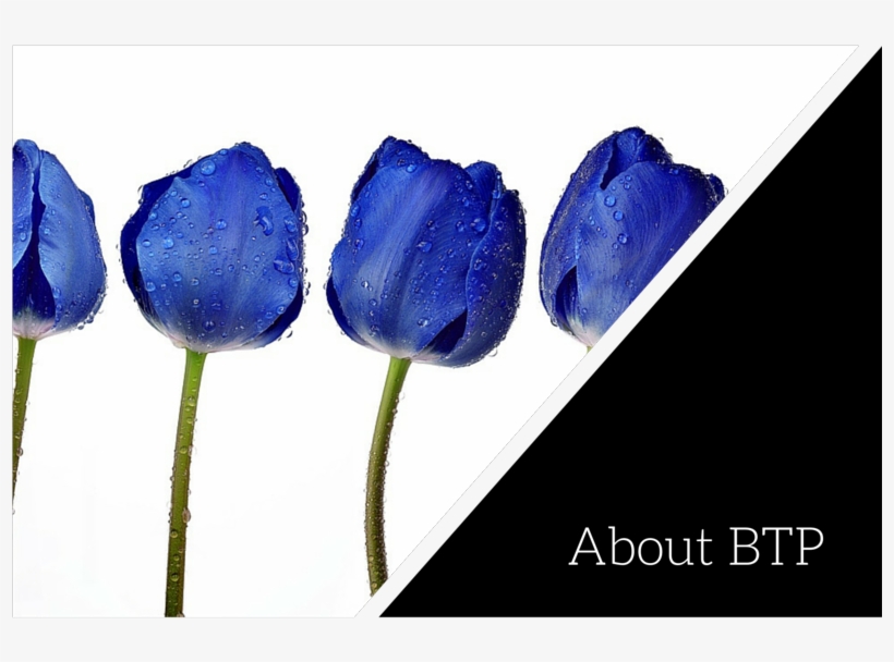 Btp Hp About, transparent png download