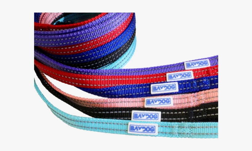 Pensacola Bay Leash - Pensacola Bay, transparent png download