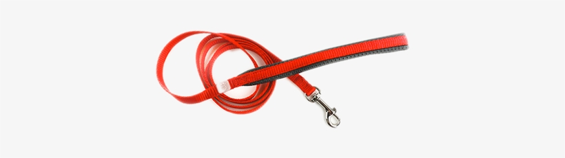 Cat Leash - Cable, transparent png download