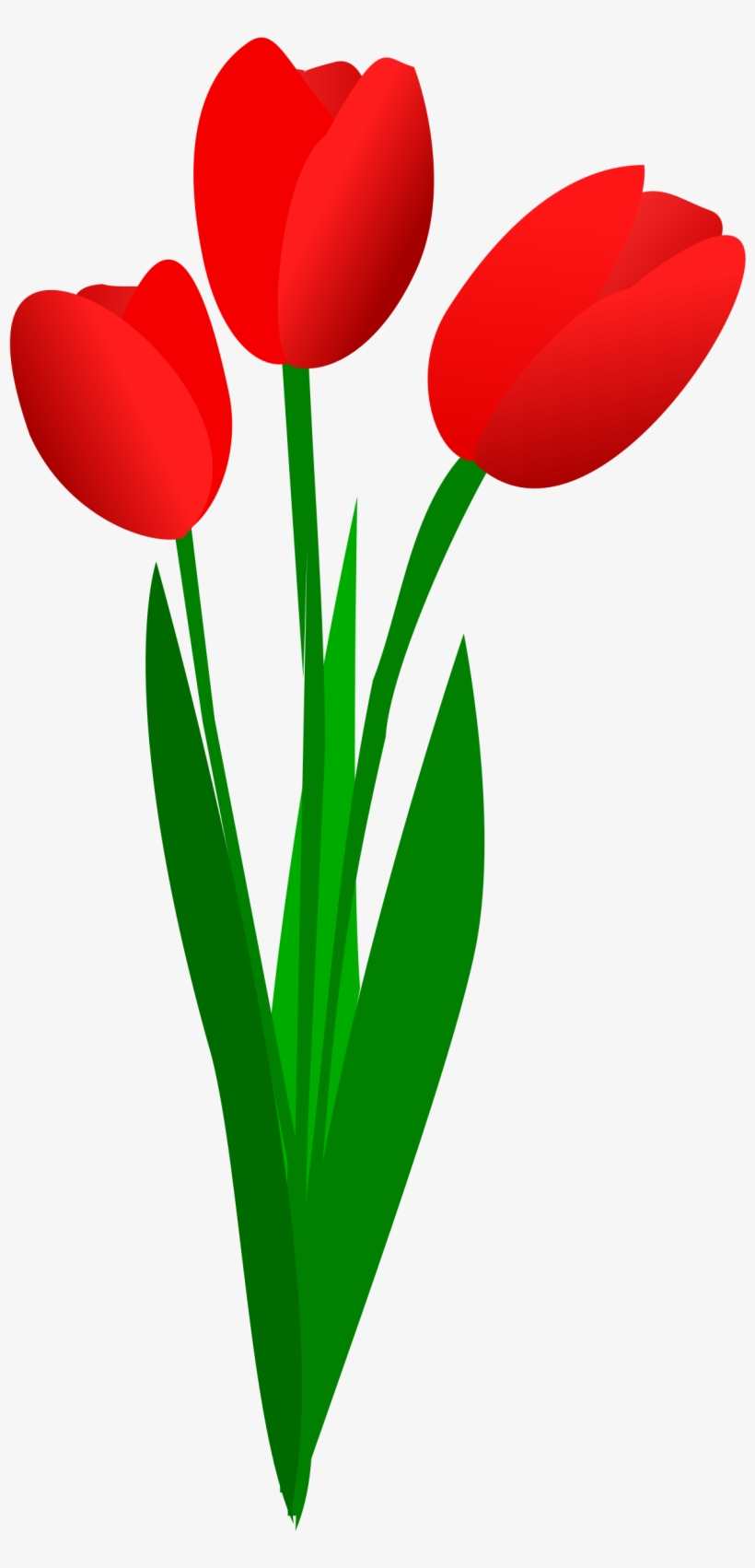 This Free Icons Png Design Of Three Red Tulips, transparent png download