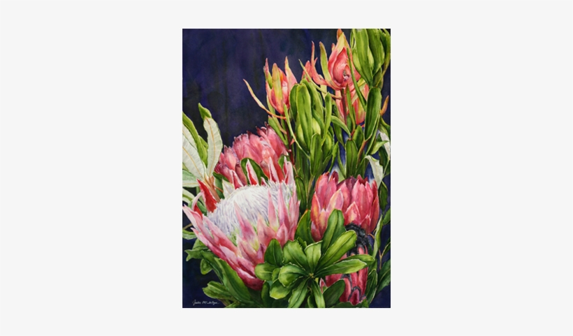 Better Than Roses - Watercolor Painting, transparent png download