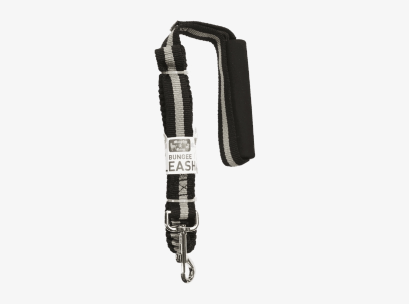 6′ Bungee Leash - Bungee Pupee Leash, transparent png download