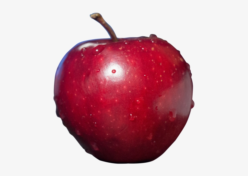 Png Image Information - Food With Clear Background, transparent png download