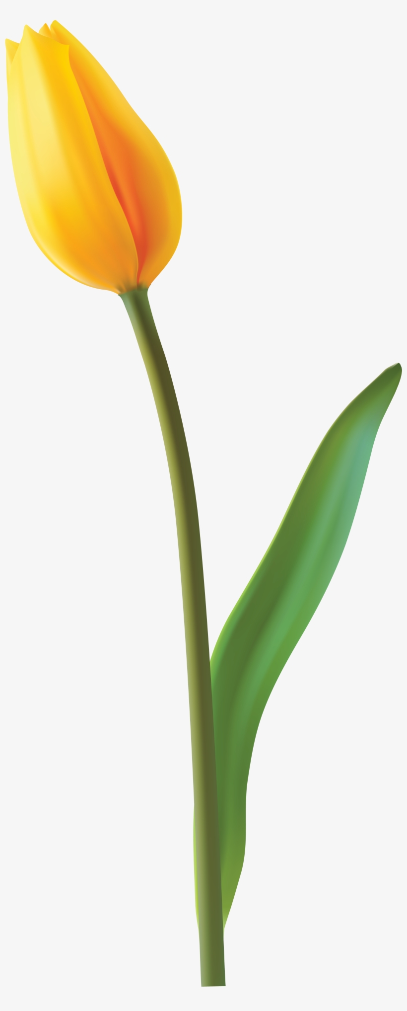 Clip Art, transparent png download