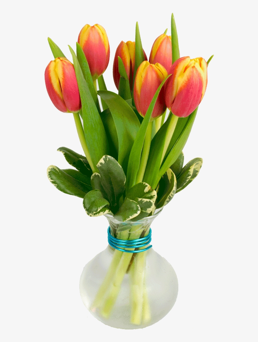 Bistro Tulips - Artificial Flower, transparent png download
