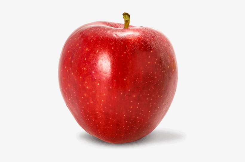 gala apples apple fruit transparent png 500x500 free download on nicepng gala apples apple fruit transparent