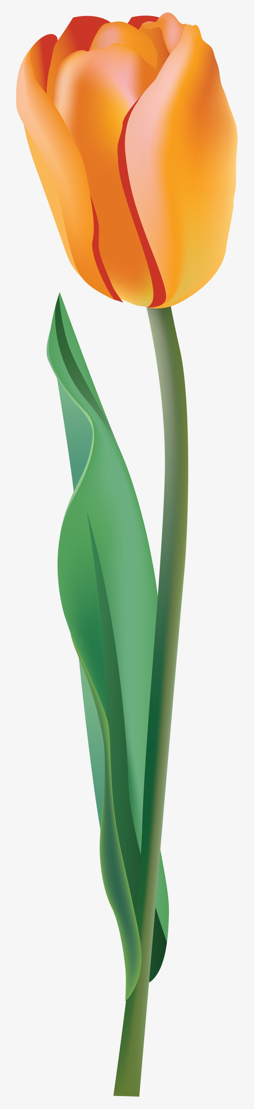 Yellow Tulip Png Image - Yellow Tulip In Clipart Png, transparent png download