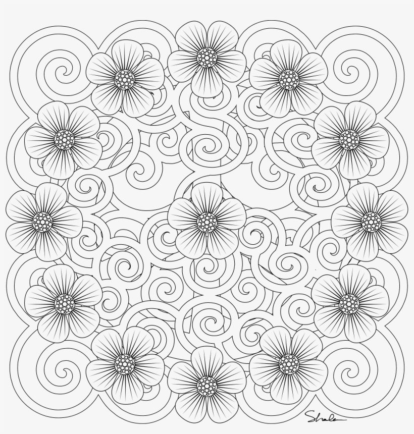 Casino Wheel Hazard Roulette - Box Chainring, transparent png download