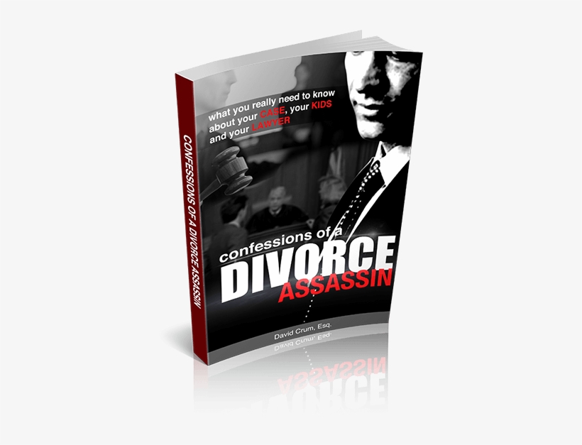 Confessions Of A Divorce Assassin - Confessions Of A Divorce Assassin: What You Really, transparent png download