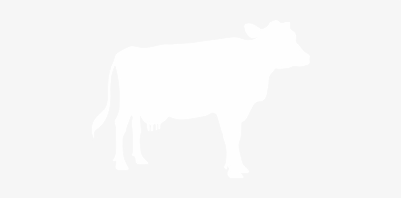 Download Instruction Booklet - Silver Spring, transparent png download