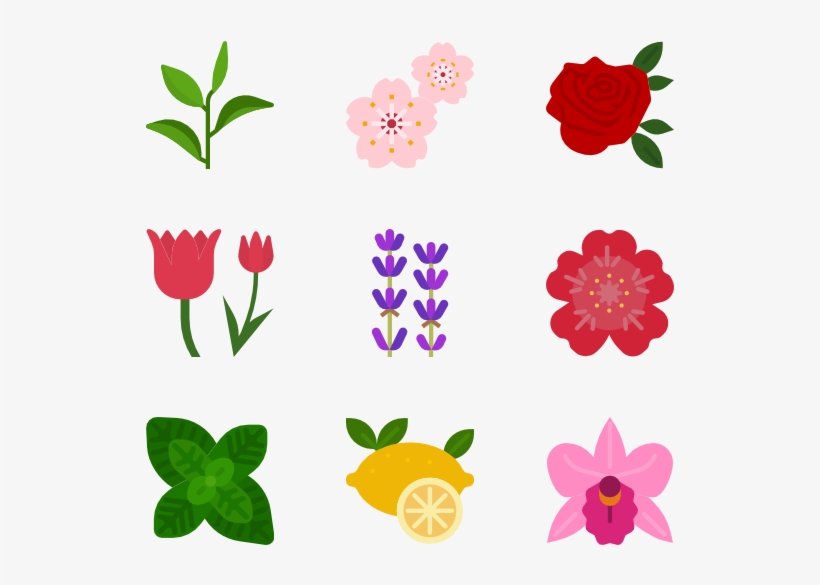 Natural Scent 25 Icons View 14 Packs - Fruit, transparent png download
