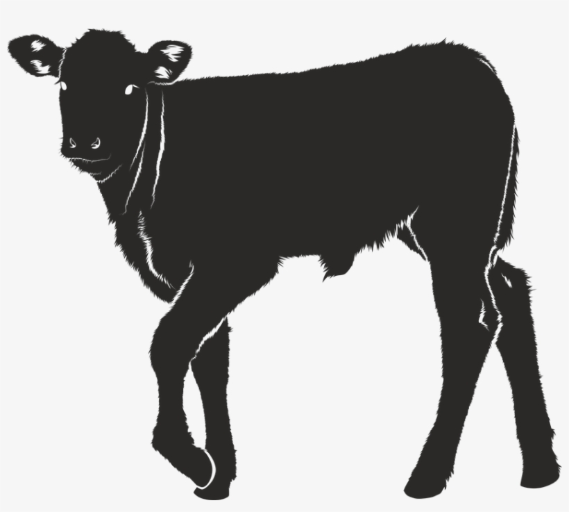 Veal Silhouette Black Isolated - Calf Svg File, transparent png download