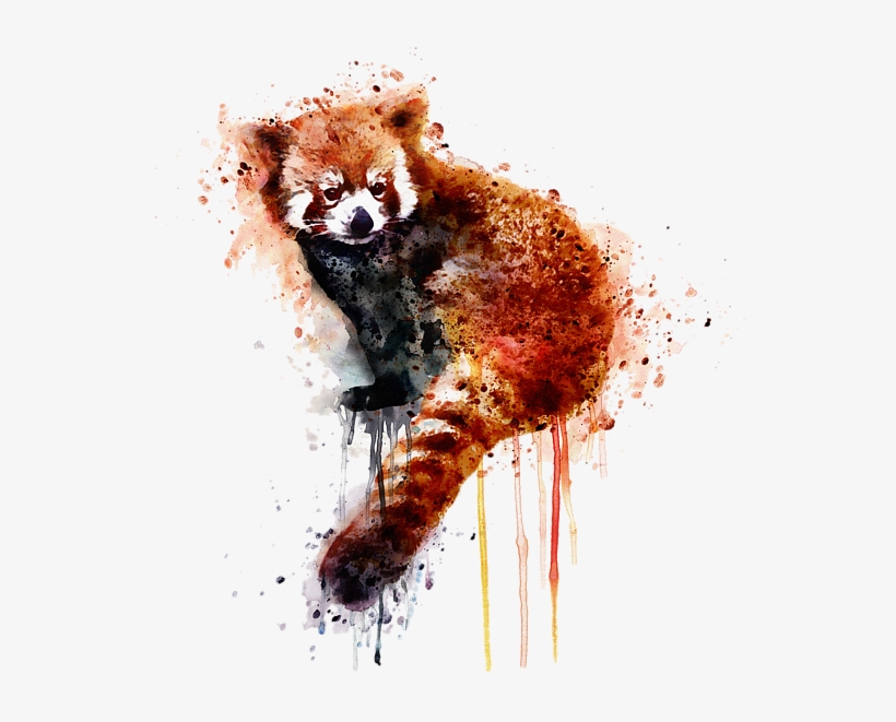 Bleed Area May Not Be Visible - Red Panda Artwork, transparent png download
