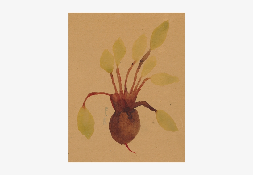 Beets - Beetroot, transparent png download