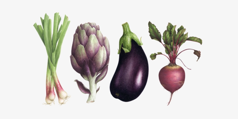 Farmers Market Set - Botanical Illustration, transparent png download